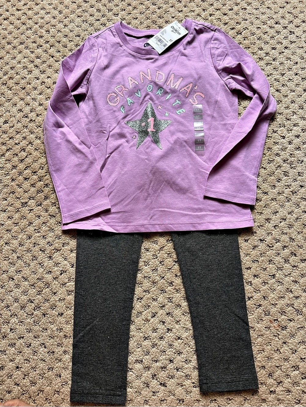 NEW OshKosh B'gosh Kids Pink Graphic Top & Carters Gray Leggings. 5T